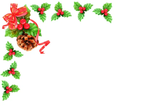 ヒイラギの果実のクリスマスの罫線 — ストック写真