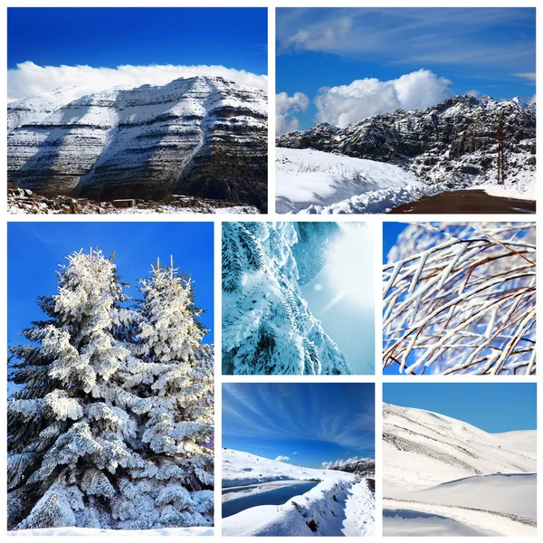 Wintercollage — Stockfoto