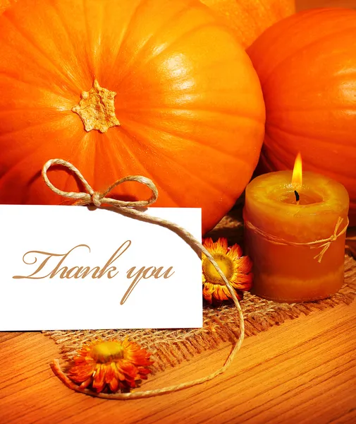 Gracias, tarjeta de felicitación de Acción de Gracias — Foto de Stock