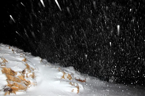 夜间降雪 — 图库照片