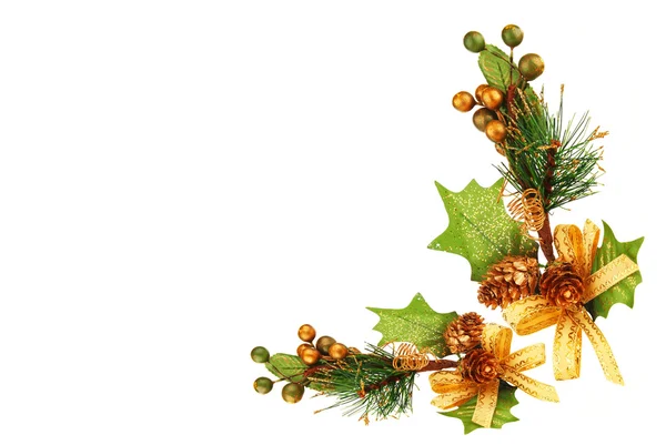 Christmas tree branch ornament — Stock Photo, Image