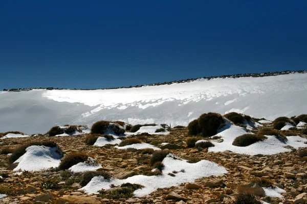 Nieve paisaje —  Fotos de Stock