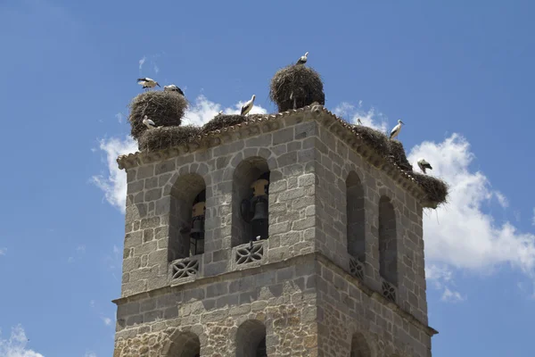 在曼萨纳雷斯 el 鹳与真正的教堂塔楼 — 图库照片