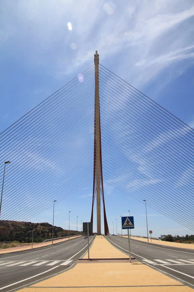 Cable-stayed bridge Talavera de la Reina, Spain — Stock Photo, Image