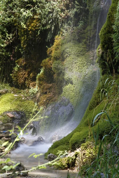 Cascades bitki örtüsü arasında — Stok fotoğraf