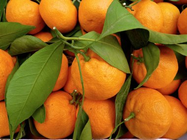 Tangerines at a Farmers Market