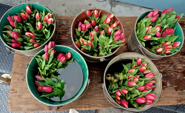 Tulipány kbelíky na Farmářský trh — Stock fotografie