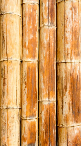 Patrón de caña de bambú textura fondo —  Fotos de Stock