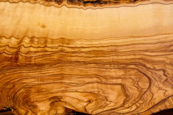 Corte de textura de tronco de olivo —  Fotos de Stock