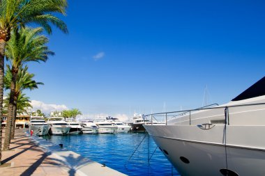 Calvia Puerto Portals Nous luxury yachts in Majorca
