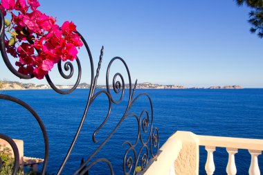 Akdeniz çiti cala fornells Mallorca