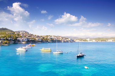 Cala fornells Mayorka'da mallorca bir Akdeniz Adası
