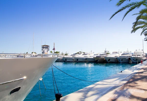 Calvia Puerto Portals Nous yachts de luxe à Majorque — Photo