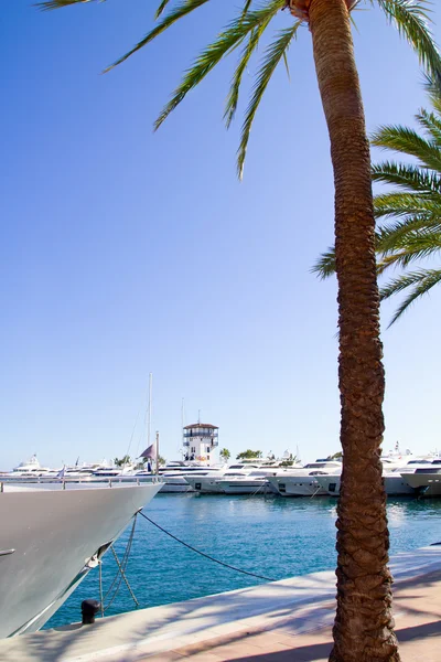 Calvia Puerto Portals Nous luxury yachts in Majorca — Stock Photo, Image