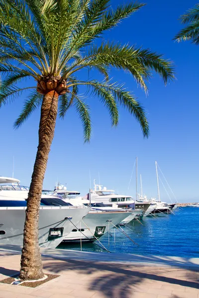 Calvia Puerto Portals Nous yacht di lusso a Maiorca — Foto Stock