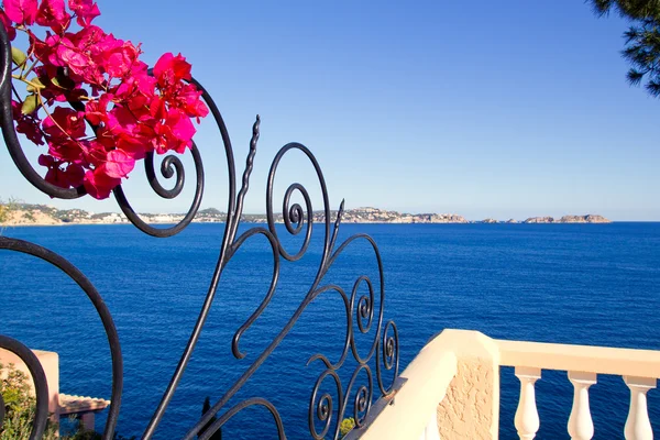 Середземноморський паркан на Майорці Cala Fornells — стокове фото