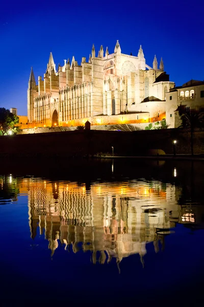 Cattedrale di Palma di Maiorca La Seu vista notturna — Foto Stock