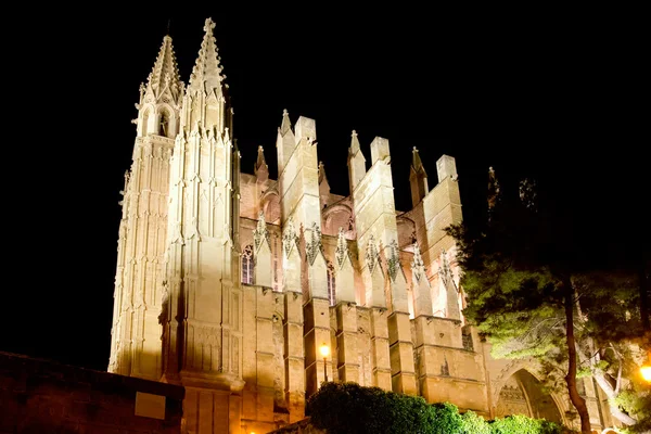 Kathedrale von Palma de mallorca la seu Nacht Ansicht — Stockfoto