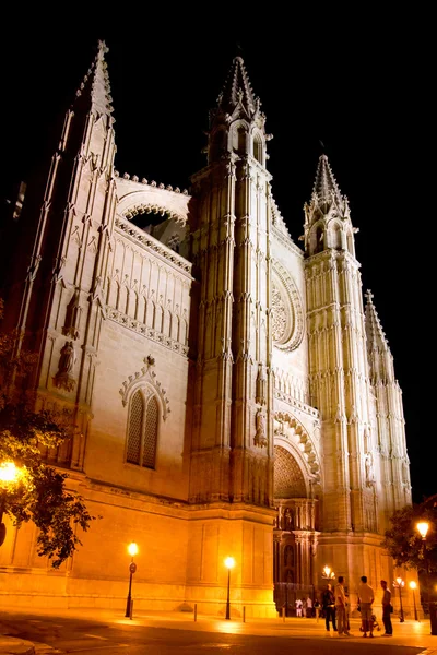 Kathedrale von Palma de mallorca la seu Nacht Ansicht — Stockfoto