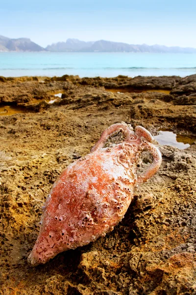 Amphore römisch mit Meeresverschmutzung im Mittelmeer — Stockfoto