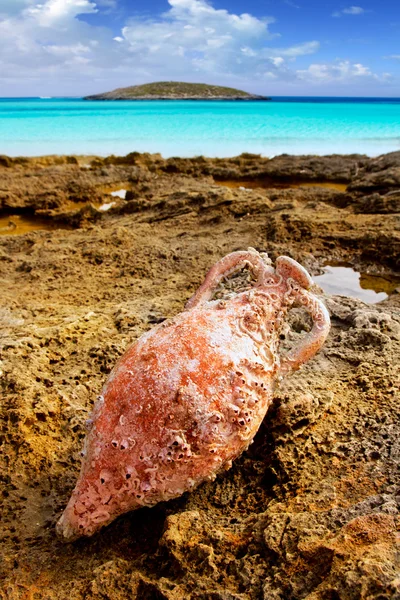 Amphora roman with marine fouling in Mediterranean — Stock Photo, Image