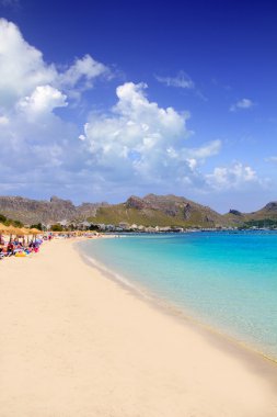 POLLENSA kum Beach'te mallorca bir Akdeniz Adası