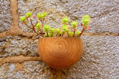 Plants pots in Valldemossa at Majorca Balearic island clipart