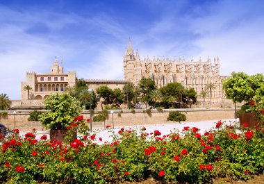 Majorca Cathedral and Almudaina from red flowers garden clipart