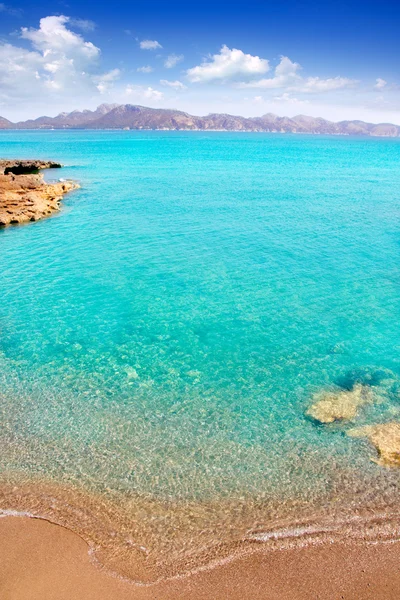 Alcudia à Majorque la Victoria plage turquoise — Photo