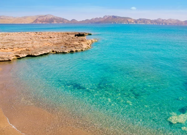 Alcudia en Mallorca la Victoria playa turquesa — Foto de Stock