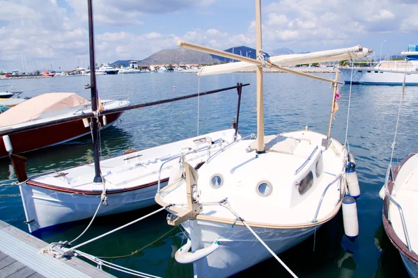 Puerto de Alcudia Mallorca con lanchas llaut en puerto deportivo —  Fotos de Stock