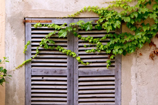 Mallorca tradiční dřevěná okna mallorquina okenice — Stock fotografie