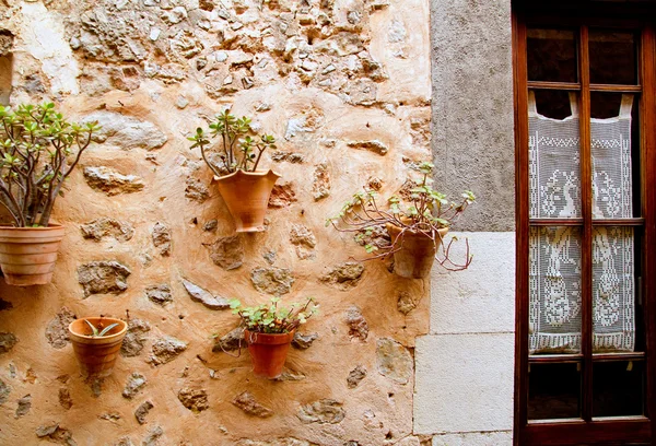 Planten potten in valldemossa op Mallorca Balearen — Stockfoto