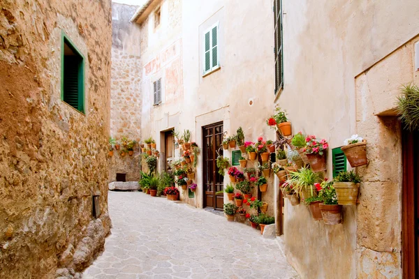 Majorca Valldemossa typical with flower pots in facade — Stock Photo, Image