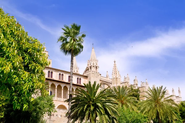 Cathedral of Majorca La seu from Palma de Mallorca — Stock Photo, Image