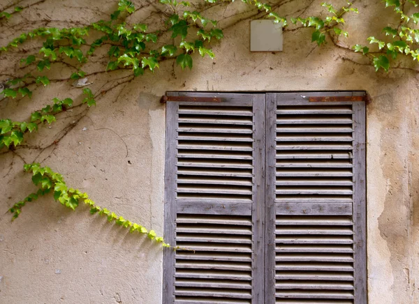 Majorca traditional wood windows mallorquina shutters — Stock Photo, Image