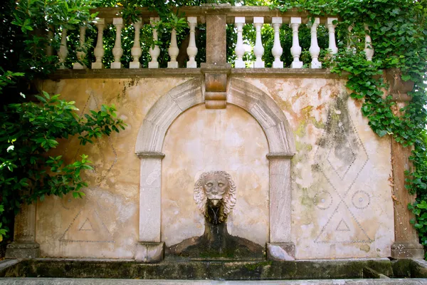 Leeuw steen sculptuur fontein in zoon marroig op deia — Stockfoto