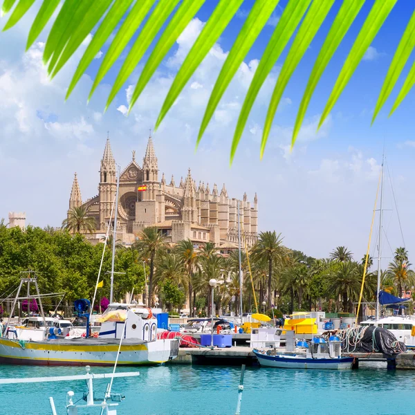 Mallorca la seu katedrála pohled z marina přístavu palma — Stock fotografie