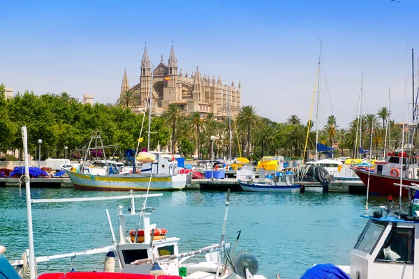 Maiorca la Seu vista sulla cattedrale dal porto turistico di Palma — Foto Stock