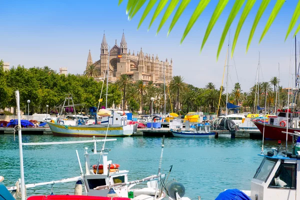 Mallorca la seu kathedraal uitzicht vanaf marina haven van palma — Stockfoto