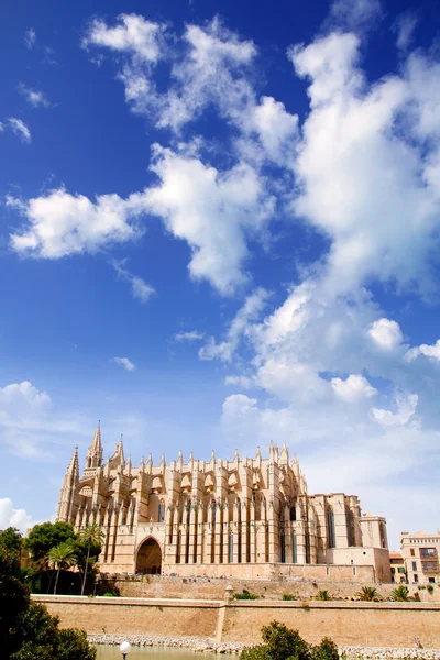 Cathedral of Majorca La seu from Palma de Mallorca — Stock Photo, Image