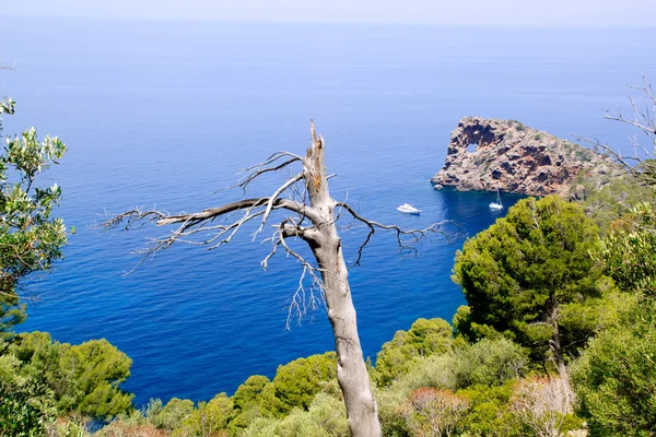 Deia Sa Foradada no Mediterrâneo Maiorca — Fotografia de Stock