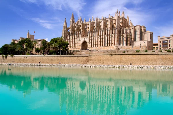 Mallorca-katedralen la seu och almudaina från palma — Stockfoto