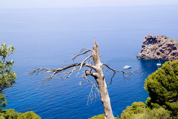 Deia sa foradada ve středomořské Mallorca — Stock fotografie
