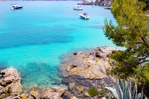 Calvia Cala Fornells turquoise mediterranean in Majorca — Stock Photo, Image