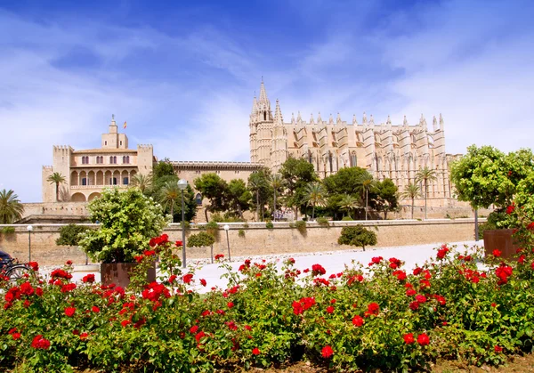 Majorca Cathedral and Almudaina from red flowers garden — Stock Photo, Image