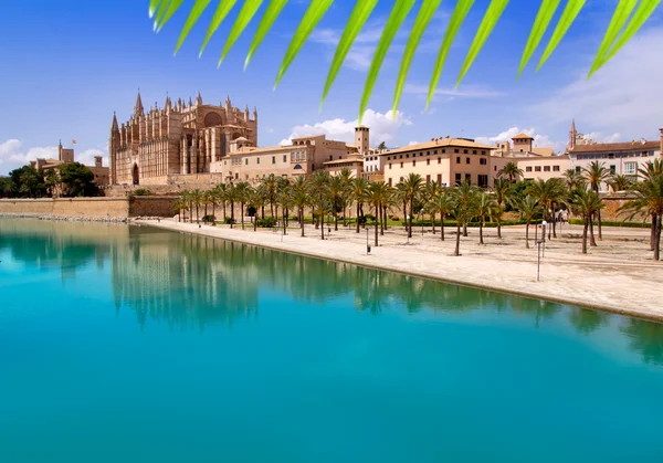 Mallorca la seu katedrálist és a palma almudaina — Stock Fotó