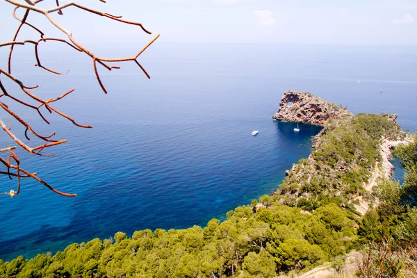 地中海のマヨルカ島のデイア sa foradada — ストック写真
