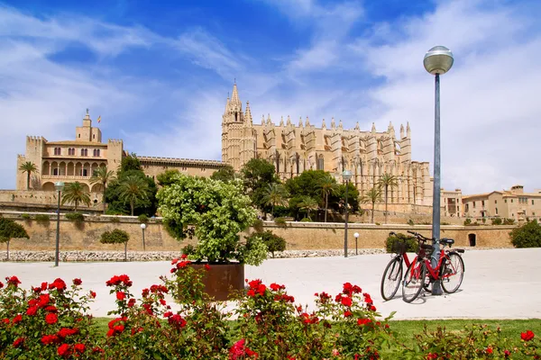 Mallorca-katedralen och almudaina från röda blommor trädgård — Stockfoto