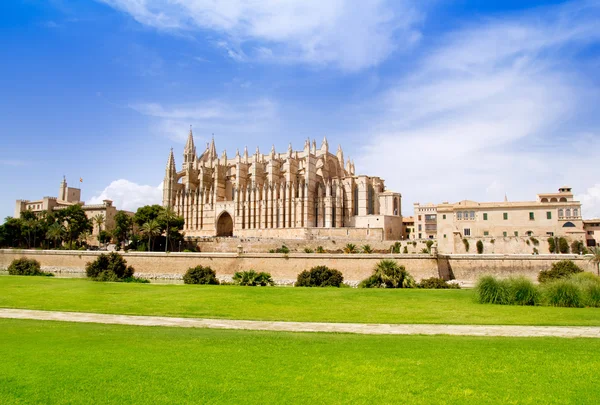 Katedrála Mallorca la seu pohled ze zahrady trávy — Stock fotografie